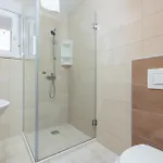 Luxury Vincent Villa Slatine